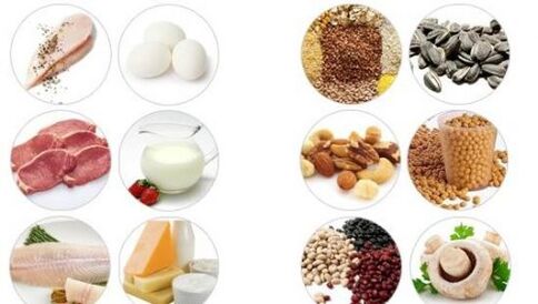 Foods high in animal and plant protein for male virility