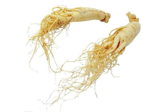 Ginseng root - folk remedy to increase male potency